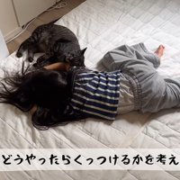倒れる真似をしている女の子と猫