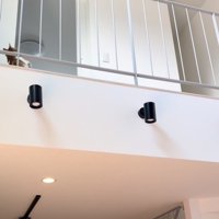 飼い主さんが投げたボールを取りにいく茶トラ白猫