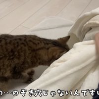 のぞくみにらくん