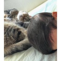 猫と子ども