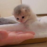 目の前に手のひらを