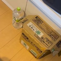 ダンボール