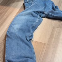 ズボンに入る猫