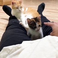 同じ方向を見るふたり