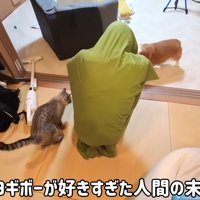 集まる猫と犬