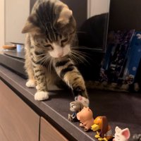 フィギュアを前足でつついている猫