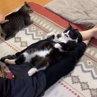 足の上で仰向け(斜めから)