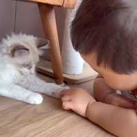 腹ばいで向かい合うふたり