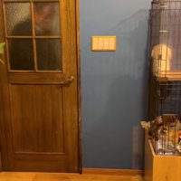 扉の向こうの男性