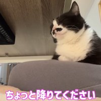 ちょっと降りてください