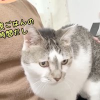 夜ごはんの時間だし
