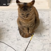 「早く終わらないかなー」