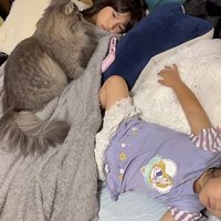 2匹と姉妹が寝ころぶ様子の全体写真