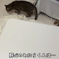 コタツのまわりのみにらくん