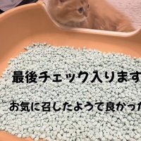 「最終チェック入ります」のテロップ写真