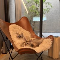 大きな椅子の上でくつろぐ2匹の猫