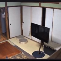 猫を抱っこしてステップを踏む男性