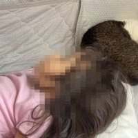 寝る猫と子ども