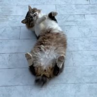 泥だらけの体