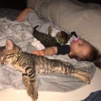 眠る赤ちゃんと子猫