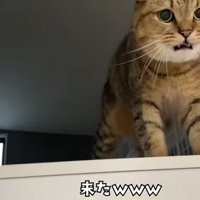 来た