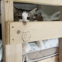 隙間から覗いて
