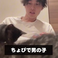 カメラを横切るちょびくん