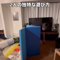 遊んでいる猫とパパさん