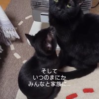 ストーブ前