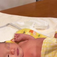 赤ちゃんを見ている猫