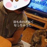 姪から後ずさりで離れるキジトラ猫