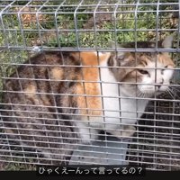 返答する撮影者