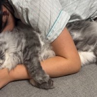 一緒に眠る猫