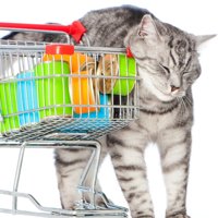 猫用品が買える場所