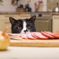 注意が必要な食べ物
