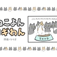 ねこよんコギわん