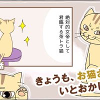 きょうも、お猫さまはいとおかし