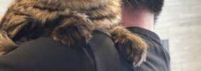 3か月ぶりに帰ってきた息子が『猫を抱っこ』した結果…可愛すぎる『猫…