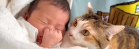 赤ちゃんがお家にやって来たら……猫が見せた『変化の様子』に感動が止…
