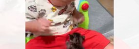 1歳5か月の赤ちゃん→小さな子猫が登ってくると…信じられないほどに尊…