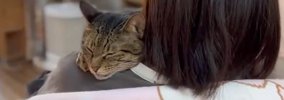 猫は2年前に家をでた娘が帰ってきたら…尊すぎる『再会の光景』に思わ…