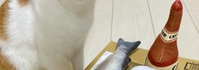 「夜道で見たら腰ぬかすｗ」テーブルの上に『魚とビールのぬいぐるみ…