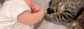 赤ちゃんを“家族”と認識した２匹の猫が…お昼寝中に見せた、涙が出るほ…