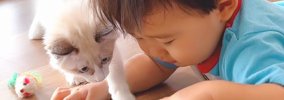 生まれた時から『猫まみれで育った赤ちゃん』が実家の子猫と…信じられ…