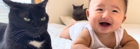 生まれたときからずっと一緒の赤ちゃんと猫…本当の兄弟のように育った…