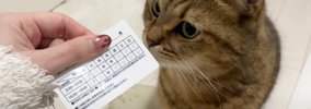 飼い主が『動物病院の診察券』を出したら、猫が……思わず笑ってしまう…