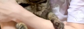 大好きなママに後ろから抱きしめられて…猫が見せた『とんでもなく尊い…
