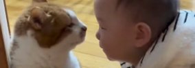 実家にいる『20歳の長寿猫』→生後10か月の赤ちゃんが遊びに来ると…可…