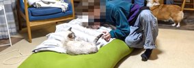 猫と『浮気している長男』を見てしまった犬…強烈に反応する姿が面白す…