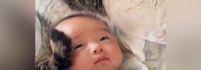 赤ちゃんのことを見たら、『頭の上』で元野良猫が…あまりにも尊い『優…